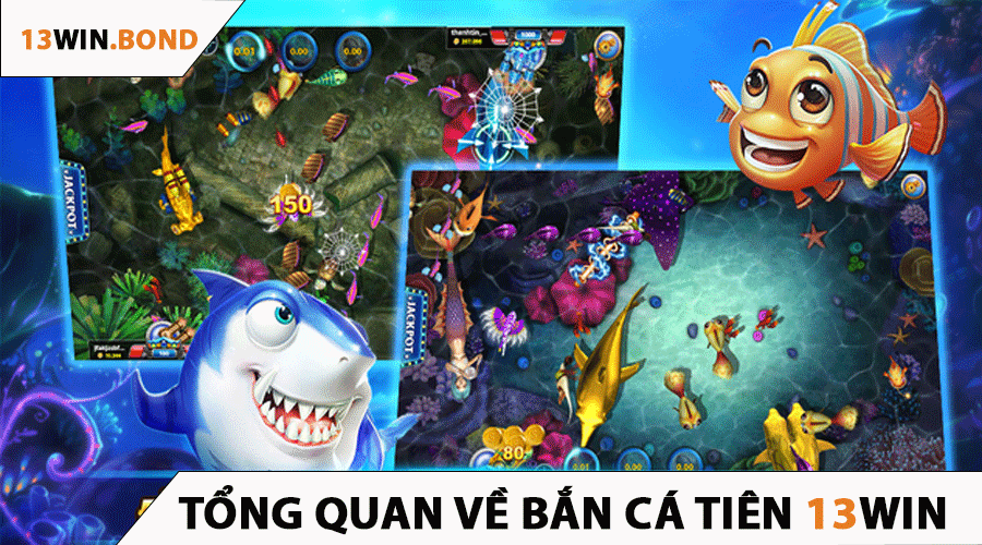 Tổng Quan Về Bắn Cá Tiên 13Win