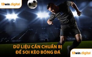 Dữ Liệu Cần Chuẩn Bị Để Soi Kèo Bóng Đá