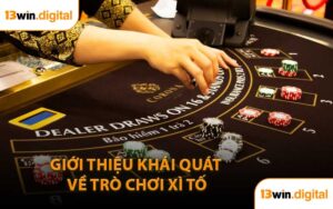 Giới Thiệu Khái Quát Về Trò Chơi Xì Tố