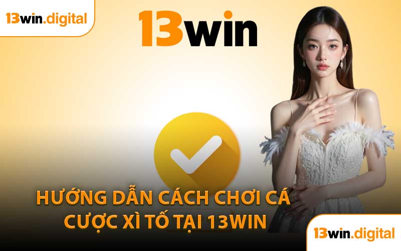 Hướng Dẫn Cách Chơi Cá Cược Xì Tố Tại 13WIN