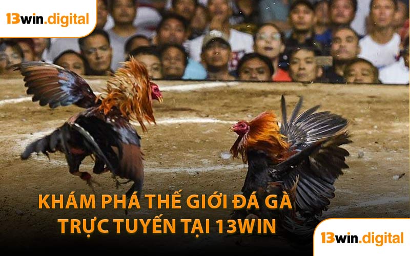 Khám Phá Thế Giới Đá Gà Trực Tuyến Tại 13WIN