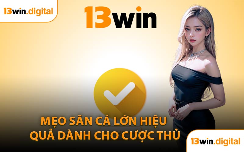Mẹo Săn Cá Lớn Hiệu Quả Dành Cho Cược Thủ