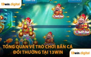 Tổng Quan Về Trò Chơi Bắn Cá Đổi Thưởng Tại 13WIN